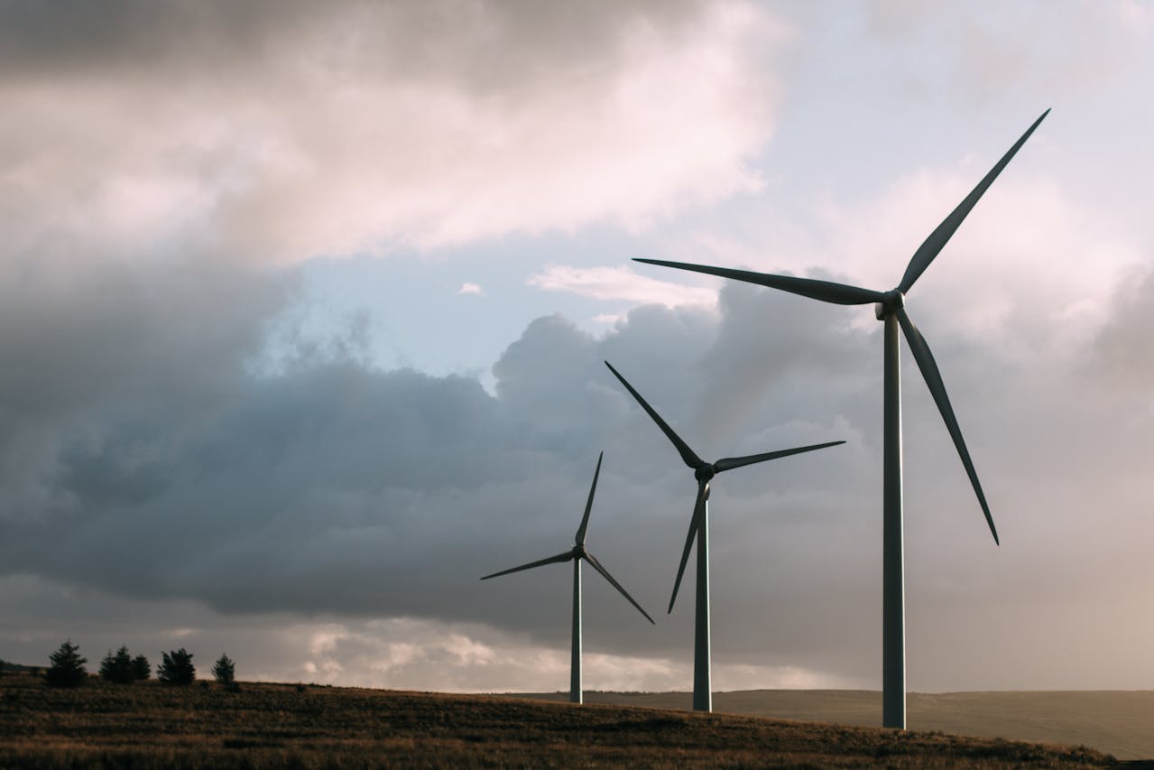 development and implementation of renewable energy projects