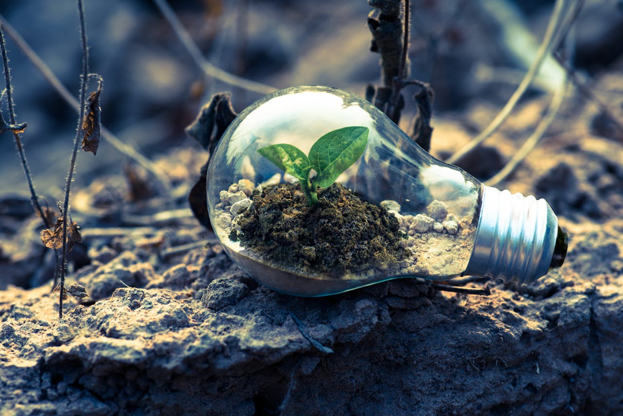  Utilizing of clean, renewable energy sources to reduce carbon emissions in the Middle East.
